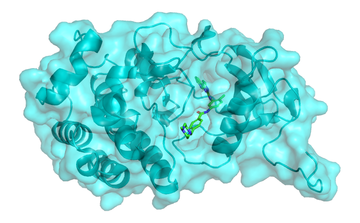 Docked ligand bound in its protein binding pocket